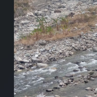 निर्देशिका कार्यान्वयन नहुँदा समस्यैसमस्या