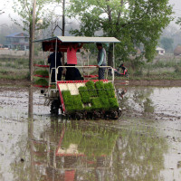 महेन्द्र मावि जिल्लाकै दोस्रो उत्कृष्ट सामुदायिक विद्यालय