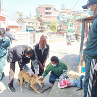 उम्मेदवार नपुग्ने गुम्बा गाउँ