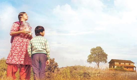 महोत्सवमा चौबिस चलचित्र