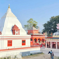 जगतबहादुरको निवृत्त जीवन सुन्तला खेतीमा 