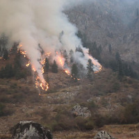 संसद्को गरिमा उँचो बनाउन सबैको सहयोग आवश्यकः सभामुख घिमिरे