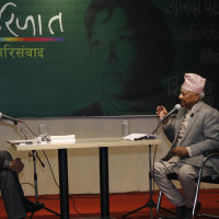 नदीमा रमाउँदै आकर्षक पानीहाँस