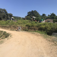 सुदूरपश्चिमको थारू साहित्य र स्रष्टा