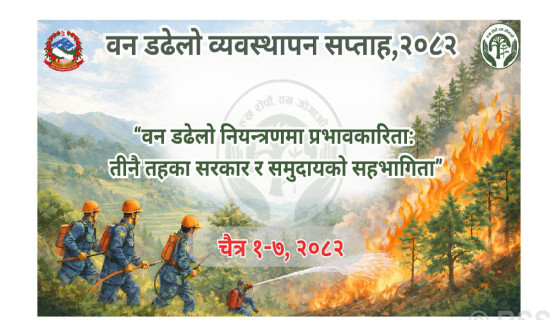 डढेलो व्यवस्थापन सप्ताह आजदेखि सुरु