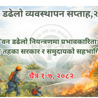 पाण्डेय सम्मानित