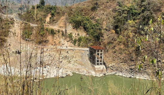 पाण्डेय सम्मानित