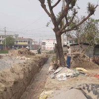 कोइरालाका दुई कृति सार्वजनिक