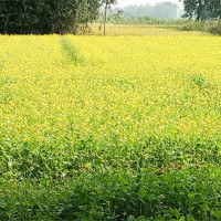 ट्रकको ठक्करबाट युवकको मृत्यु, एक घाइते