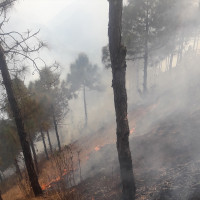 आकर्षक पर्यटकीय गन्तव्य बन्दै ‘मलुवा पोखरी’