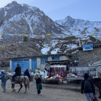 प्रभातफेरी कार्यक्रम गरि विश्व उपभोक्ता दिवस मनाइयो