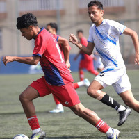 बाघको आक्रमणबाट एक जना घाइते