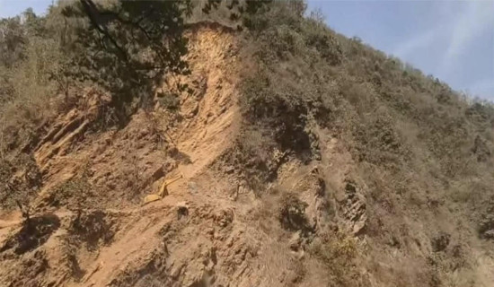 विवाहेत्तर सम्बन्धका कारण प्रमीला दमाईको हत्या : प्रहरी