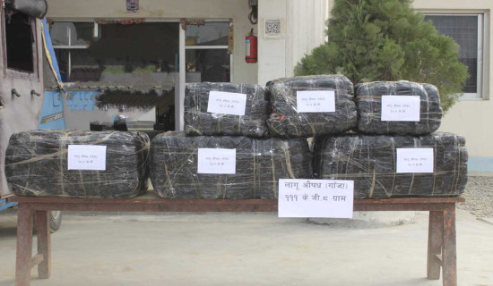 सप्तरीमा एक क्विन्टलभन्दा बढी गाँजासहित दुई पक्राउ