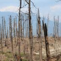 मोटरसाइकल दुर्घटनामा चालकको मृत्यु