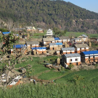 आजको राशिफल