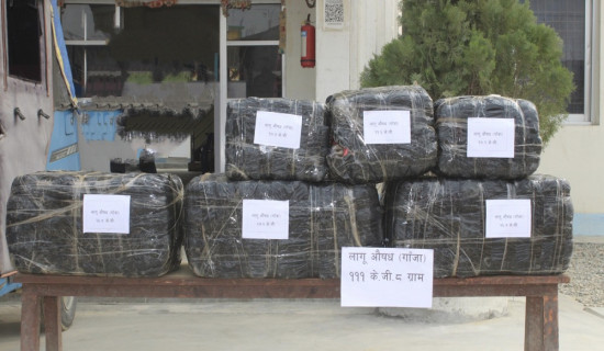 सडेको अवस्थामा युवकको शव फेला