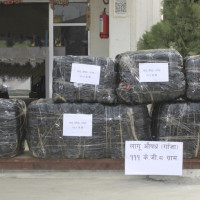 रुख ढल्दा घर र विद्यालयमा क्षति