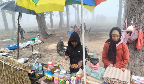 रुख ढल्दा घर र विद्यालयमा क्षति