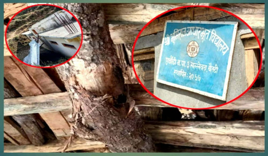 जोखिम मोलेर पढ्दै बालबालिका