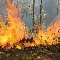 ‘पहाड’ मा नेपाली समाजको कथा