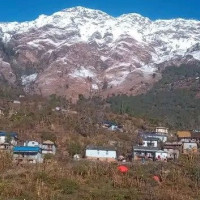 रुखले च्यापिएर एक जनाको मृत्यु