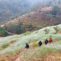 सिँचाइका लागि झोलुङ्गे पुल