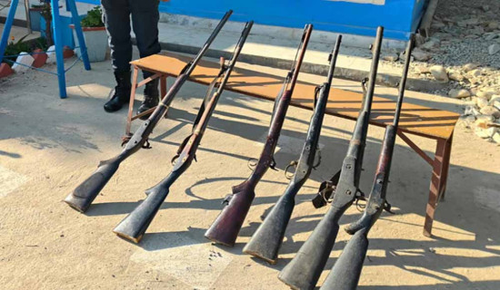 एक महिनामा १६ नाल बन्दुक बरामद, २४१ सवारी कारबाही