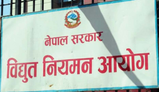 पञ्चकन्याका दुई उद्योगले विद्युतको बक्यौता तिर्नुपर्ने