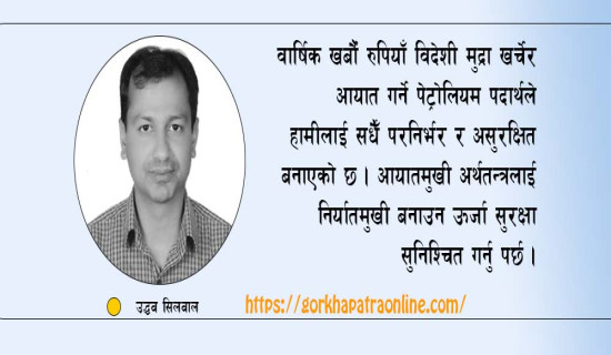 इन्धन होइन अब बिजुली