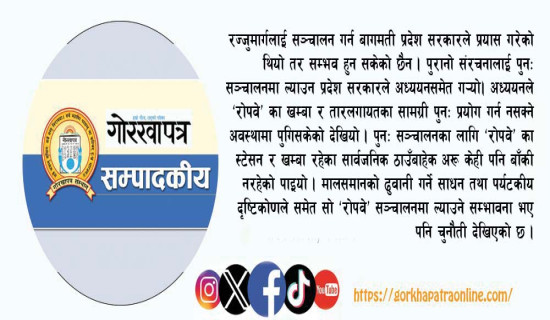 रज्जुमार्गको कुरूप रमिता