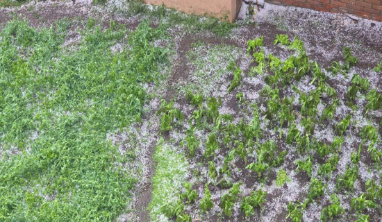 असिना पानीले धनबालीमा क्षति