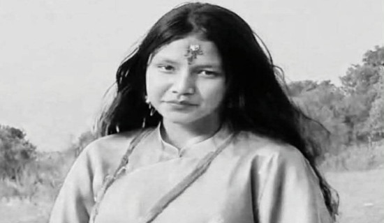 इन्धन होइन अब बिजुली