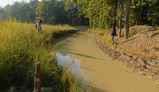 किसानलाई अनुदानमा ई-लोडिङ अटोरिक्सा वितरण
