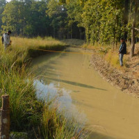 बाजुरामा एमालेकी भण्डारी (बुढा) विजयी