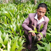 ओएनएमको राष्ट्रिय मापदण्ड बनाइँदै