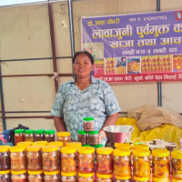 पसाउन लागेका धानको बोट सुक्न थालेपछि पाल्पाका कृषक चिन्तित