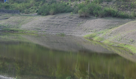 हाइटीमा गोली हानाहान हुँदा कम्तीमा ७० जनाको मृत्यु