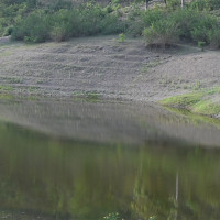 पाँचथरमा मोटरसाइकल दुर्घटना हुँदा चार जना घाइते