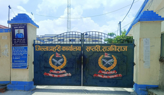 बर्दिबासमा डेङ्गुको जोखिम