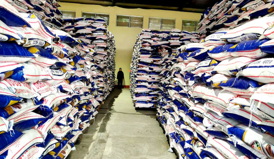 नेपालगञ्जस्थित खाद्य व्यवस्था कम्पनीमा १९ हजार क्विन्टल चामल स्टक