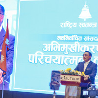 बचत र ऋणमा केन्द्रित हुँदा समस्या