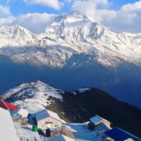 मधेशका प्रदेश प्रमुख भण्डारी पदमुक्त