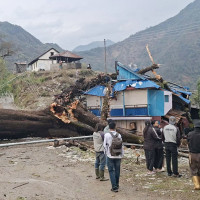 राजनीतिक संरचनामा महिला : विषयगत प्रश्नोत्तर