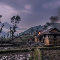 हावाहुरीले सयौँ विघा मकै बालीमा क्षति