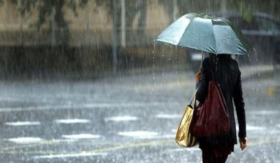 पोखराबाट सुर्खेत जाँदै गरेको बस दाङमा दुर्घटना, १४ यात्रु घाइते