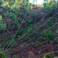 ‘भ्वाइस’ को व्यवसाय बन्द हुन सक्ने आकलन