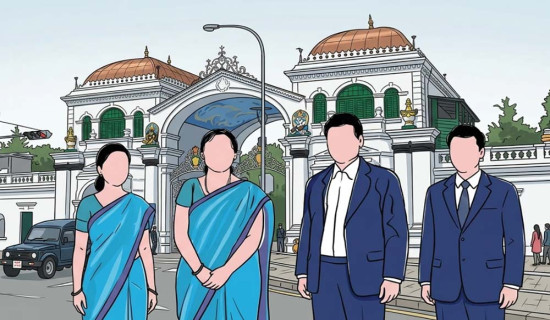 ‘भ्वाइस’ को व्यवसाय बन्द हुन सक्ने आकलन