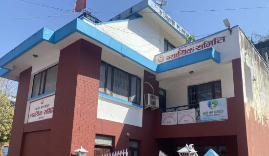 बागलुङ नगरपालिकामा २६ जना हिंसापीडितले सेवा पाए
