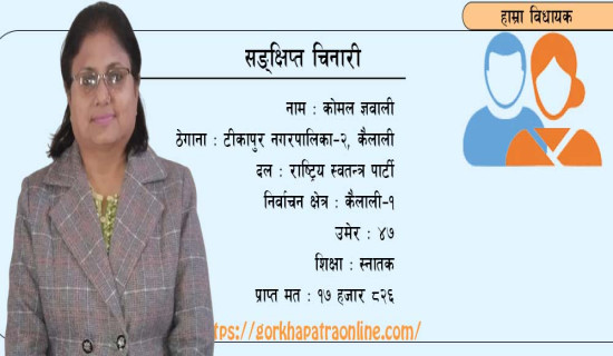 पृथ्वीराजमार्ग विस्तार : दमौलीमा दोस्रो चरणको कालोपत्रे